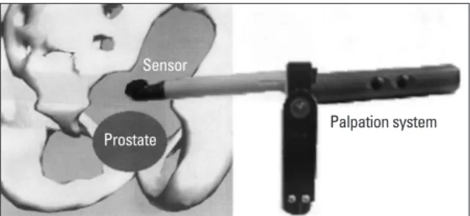 Fig. 1. Schematics of experimental setup.