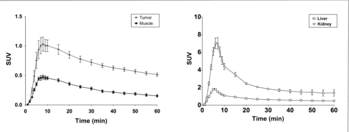 Figure 4. 근육을 reference 영역으로 하여 구성한 결합능에 대한 파라 메터영상