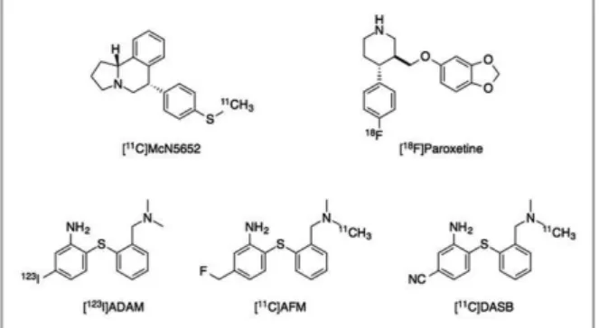Figure 1.  Structures of radiotracers for serotonin transporter imaging.