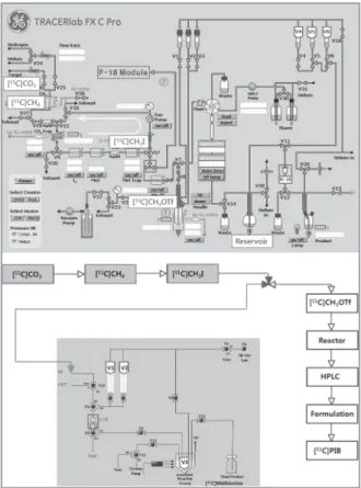 Figure 3.  Time protocol for [ 11 C]PIB and [ 11 C]Methionine production by sharing  [ 11 C]methylation source
