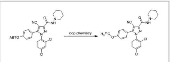 Figure 4. Typical HPLC result from loop method (using directly loop)