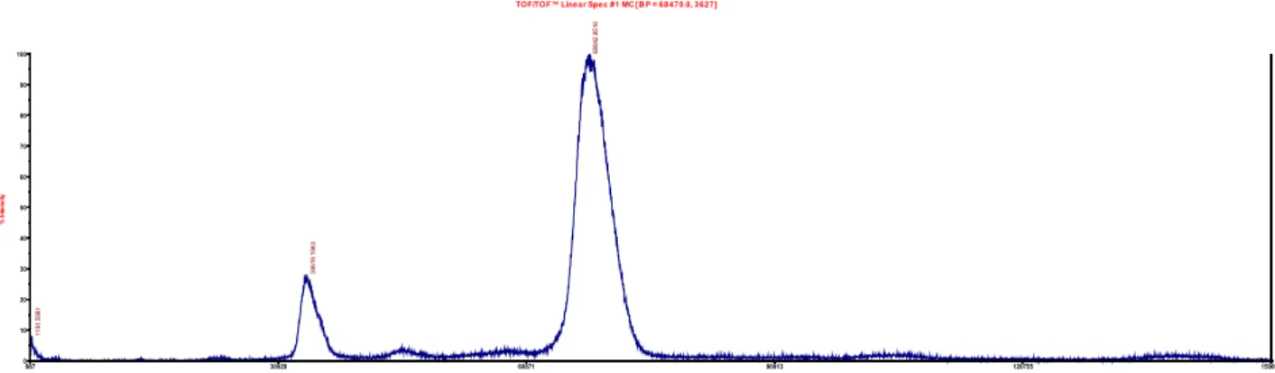 Figure 1. MALDI TOF/TOF MS spectrum of NOTA-HSA. Molecular weight of NOTA-HSA was found to be 67690