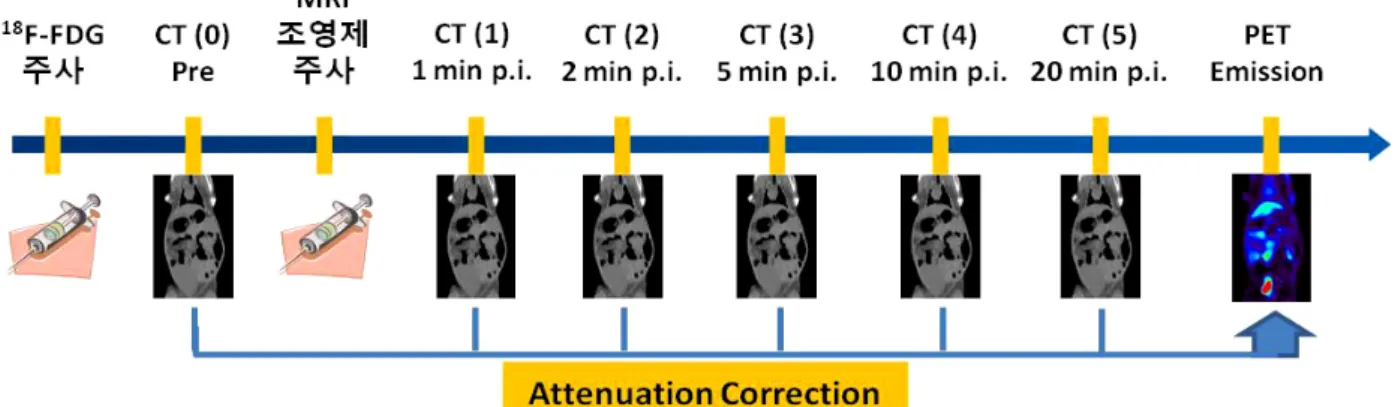 Figure 2.  CT and PET scan protocol of experiments.