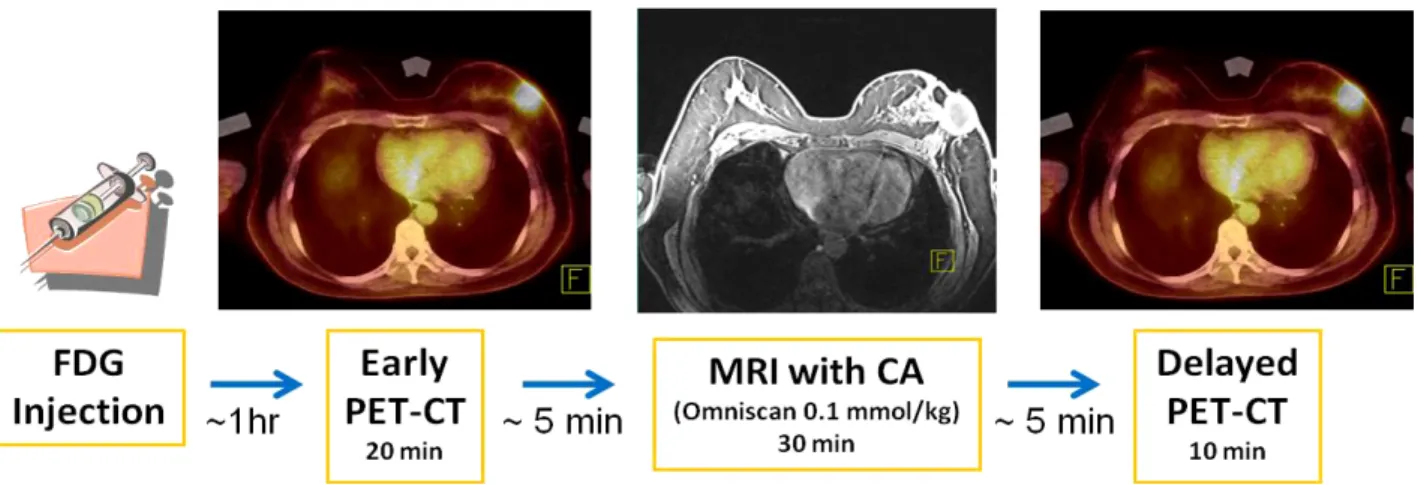 Figure 3. PET-CT and MRI scans protocol of experiments. CT(5))들은  PET시스템에서  제공되는  변환프로그램으로  각각 감쇠지도로 변환하였다