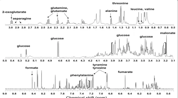 Figure 1 Representative total 1 H NMR spectra (600 MHz) of the P. ginseng berry extract analyzed with direct D