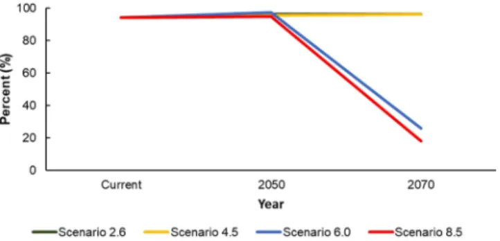 Figure 4.  Percentage of current observation locations present in suitable areas (>0.1964) for Karsenia koreana  under the four RCPs.