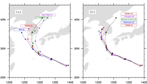 Fig. 9. Same as Fig. 2a except using Kain-Fritsch cumulus parameterization.