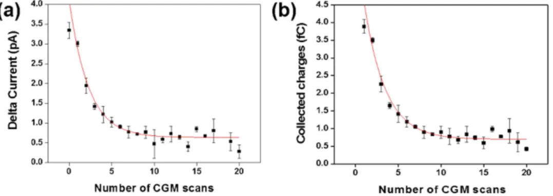 Figure 5.  Schematic of hypothetical mechanism for screening charge distribution on up and down poled 