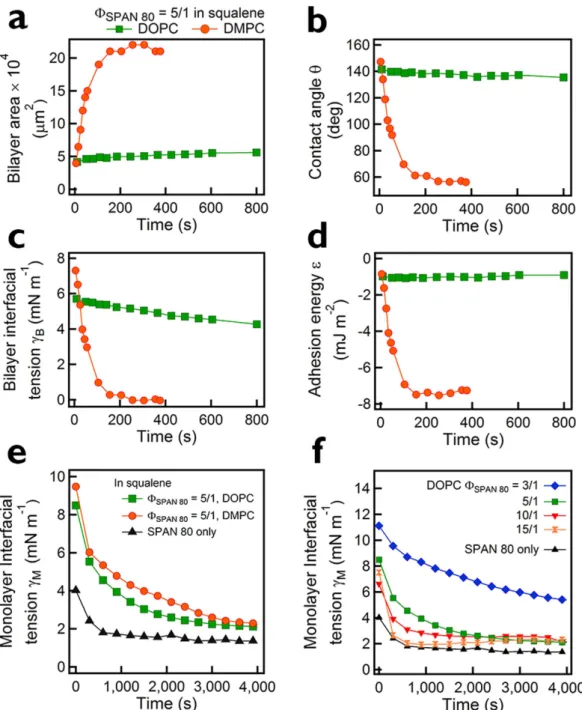 Figure 2.  For the freestanding DOPC and DMPC bilayers in squalene at Φ  SPAN80  =  5/1, plots of Bilayer area (a), 
