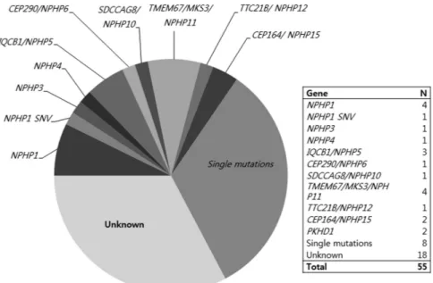 Figure 2 Results of genetic diagnosis for NPHP-RC. One-third (n = 19; 34.5%) of the patients with clinical diagnoses of NPHP-RC obtained a genetic diagnosis by two-step genetic diagnosis using Sanger sequencing (n = 12, 21.8%) and targeted exome sequencing