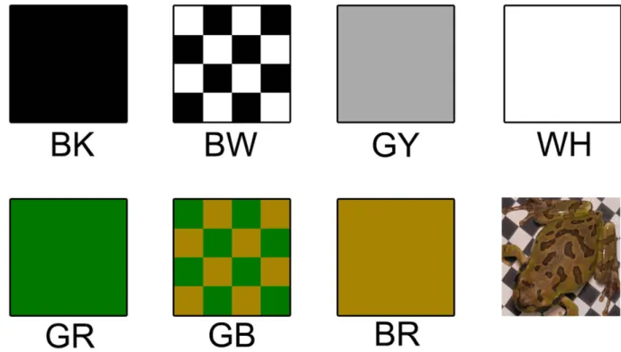 Figure 1.  Background colours that were used for BW (upper panels) and GB (lower left three panels)  experiments