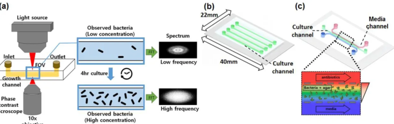 Figure 1. Overall setup of the proposed method and types of microfluidic devices used for bacterial 