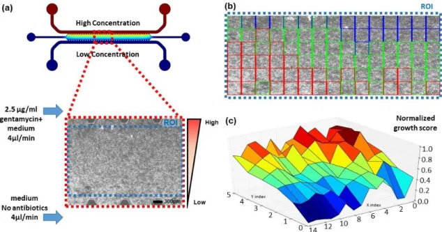 Figure  3.  Addition  of  antibiotics  to  the  system.  (a)  COMSOL  CFD  simulation  image  of  the  used 