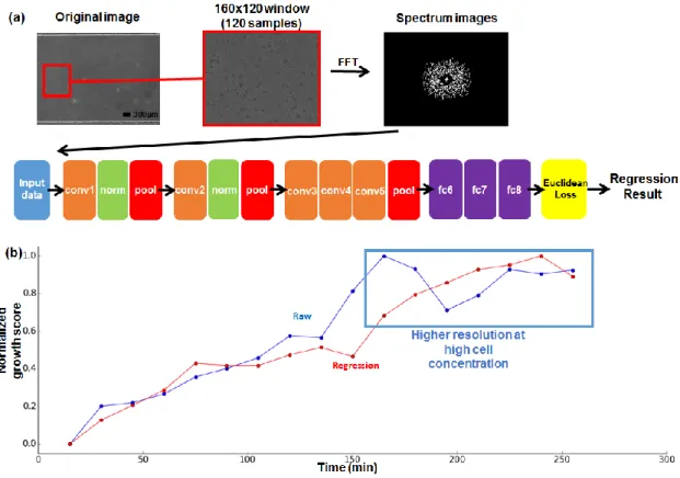 Figure 5. Deep Neural Network (DNN)-based growth estimation. (a) Data flow and network structure 