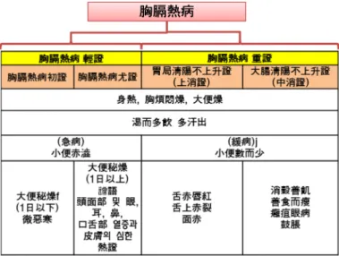 Figure 7. Diagnosis of mild, moderate, severe and critical pattern in chest-heat congested (hyunggyeok-yeol)  symptomatology