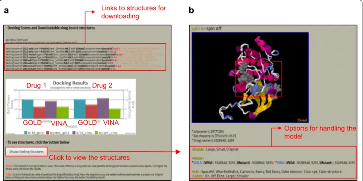 Fig. 2  Result report. a Docking scores for original and mutant kinases. The above example shows the results of docking with two drugs in Curated  Kinase Docking