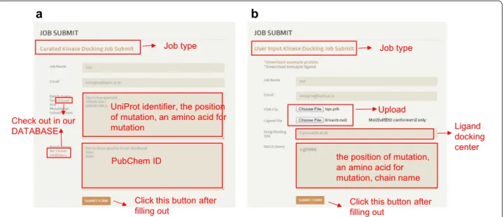 Fig. 3  Job submission page. a In Curated Kinase Docking, the UniProt ID, residue position, and mutant amino acid should be specified in Kinase  and Mutational Substitutions