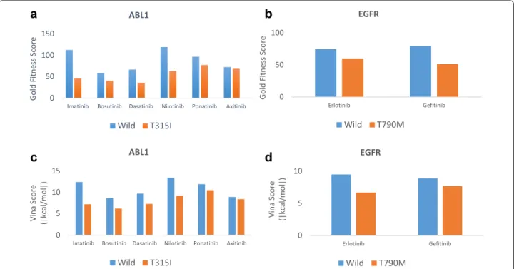 Fig. 5  BCR-ABL1-T315I and EGFR-T790M docking scores. a The Gold fitness scores of the T315I-sensitive drugs imatinib, dasatinib, nilotinib, and  bosutinib decreased by more than 20% compared to those of the wild type