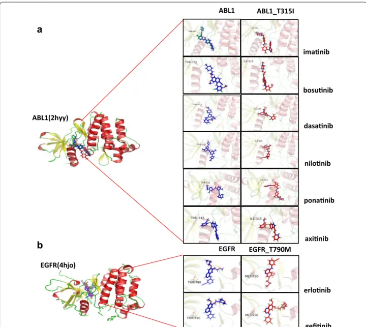 Fig. 6  Predicted binding mode from the docking analysis. a The predicted binding conformations of each drug for both wild-type and mutant  ABL1