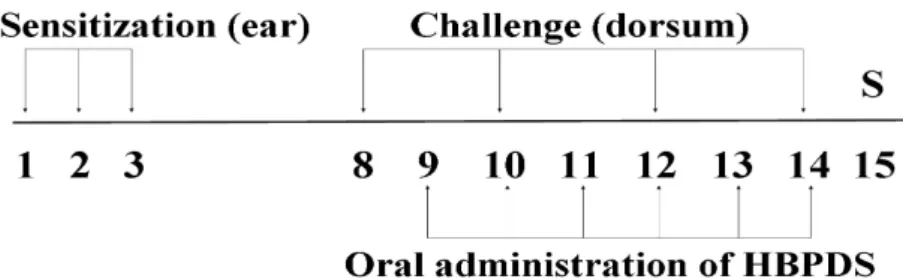Figure 1. Experimental design.