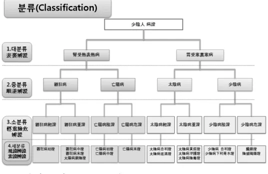 Figure 1. Classification of Soeumin symptomatology