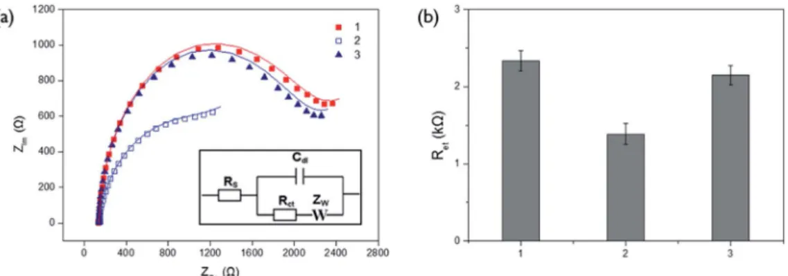 Fig. 1 Electrochemical responses obtained from the Cu 2+ -mediated oxidation of ascorbic acid on the poly-thymine DNA-modi ﬁed electrode