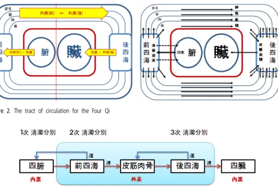 Figure 2. The tract of circulation for the Four Qi