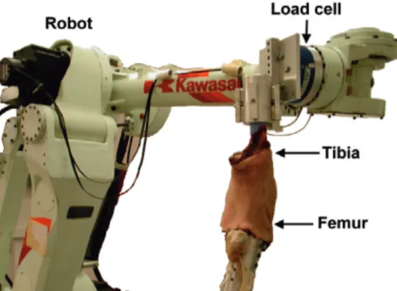 Figure 1. The robotic testing system with a knee specimen  installed.