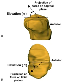 Figure  2.  Deﬁnition  of  orientation  angles  of  the  force.  A.  The elevation angle is measured in the sagittal plane