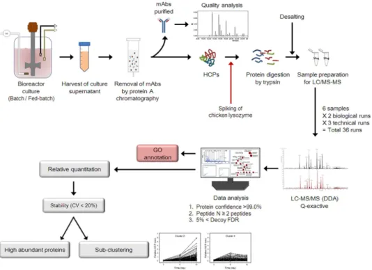 Figure 1.  Workflow used to characterize the quality attributes of mAbs and identify HCPs in the culture  supernatants