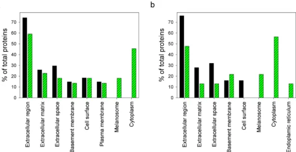 Figure 7.  GO analysis of the top 30 most abundant HCPs classified into CC. (a) GO terms of the top 30 