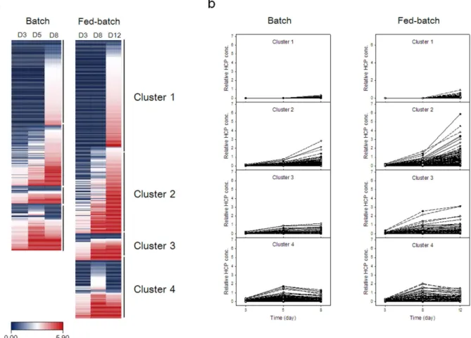 Figure 8.  Heat map (a) and four established clusters of quantified HCPs (b) during batch and fed-batch 