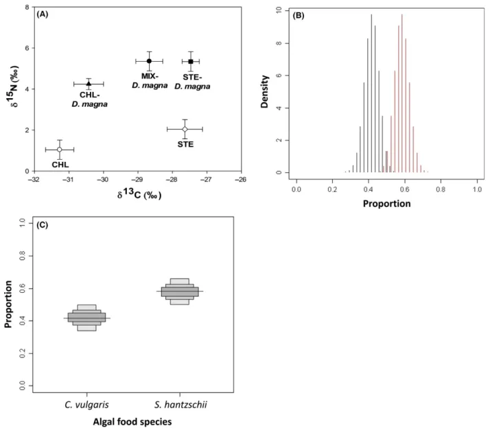 Figure 7. Results of stable isotope analysis. A, d 13 C and d 15 N ratio of the algal food sources and Daphnia magna in three experimental groups; B, distribution of the solutions for contribution of two resources to the diet of D