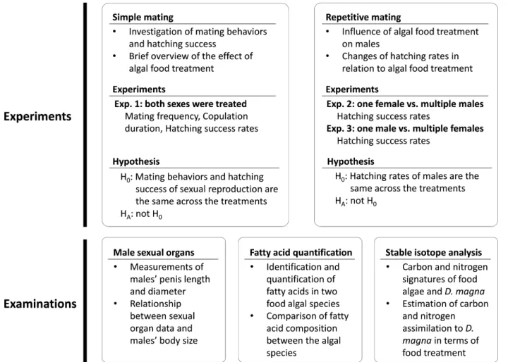 Figure 1. Brief summary of experimental approaches and examinations of the current study.