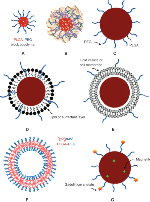 Figure 1 Representative PLGA-based nanoparticulate dosage forms. (A) PEGylated micelle (eg, PEG-PLGA block copolymeric micelle), (B) polyplex (eg, DNA-PEI-PLGA), 