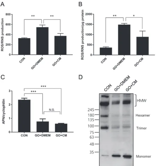 Figure 4. T-MSC CM treatment reduces oxidative stress and restores HMW APN formation in 3T3-L1 adipocytes