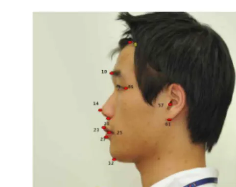 Fig. 1. 11 Points for distance, angle, ratio variable in front face. Fig. 2. 11 Points for distance, angle, ratio variable in lateral face.