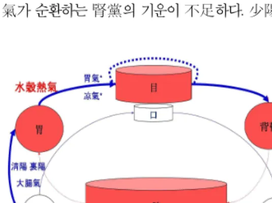Figure 7. The Physiologic Schema of Soyangin in DSC( 辛丑本 臟腑論)