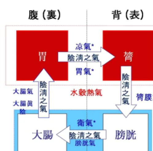 Figure  5.  The  Circular  Schema  of  Cool  Yin  Qi( 陰淸之氣)  in  DGO( 甲午本)