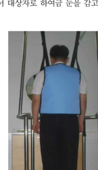 Fig.  1.  Equilibrium  function  test.