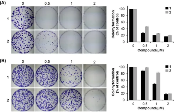 Figure 6. Cont. 