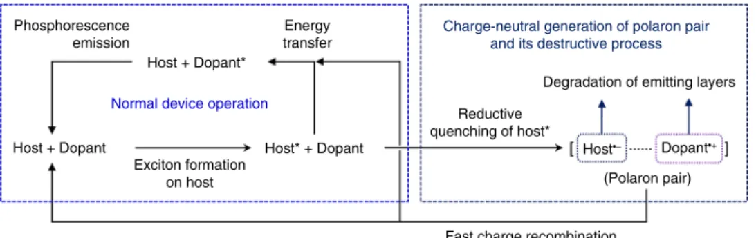 Fig. 1 Exciton-induced generation of polaron pairs. Electronic processes for the charge-neutral, exciton-mediated generation of radical ion pairs within an emitting layer consisting of a host and a dopant