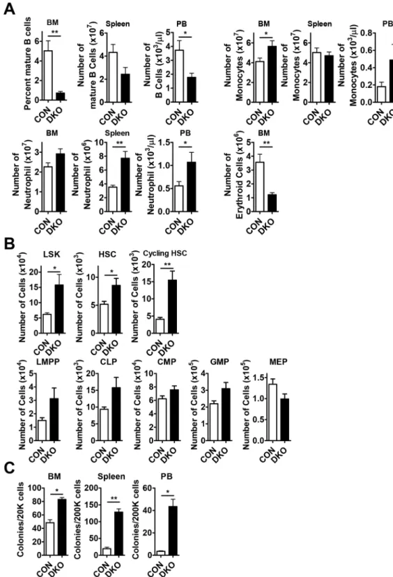 Figure 1.  Pools of HSCs and progenitors are increased in Mst1/2-DKO mice. (A) The frequencies of B 