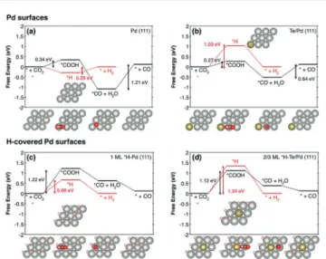 Fig. 4 The free energy diagrams of CO 2 reduction to CO (black) and
