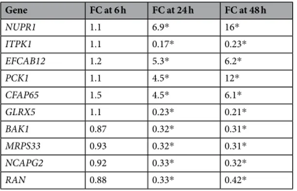 Table 1.  Top ten DEGs of TFAM knockdown. The relative fold changes (FC) of mRNA levels after TFAM  knockdown were calculated for 68 genes with their GAPDH-normalized ∆Cq values of qPCR