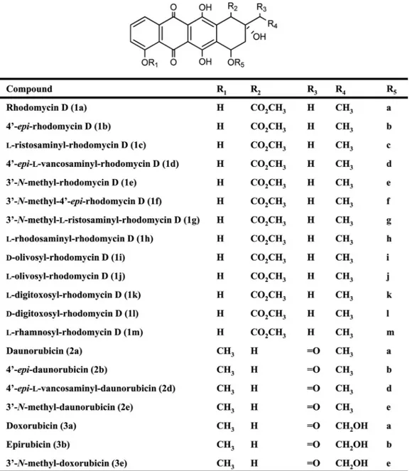 FIG. 2. Proposed structures for rhodomycin D, daunorubicin, doxorubicin and their derivatives