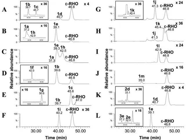 FIG. 4. HPLC-ESI-MS/MS chromatograms of cultures of S. venezuelae strains. (A) 4 ⬘-epi- L -Vancosaminyl-rhodomycin D (compound 1d; m/z 572 ⬎ 144) and ε-RHO (m/z 429 ⬎ 322) detected from culture of YJ183/pEVCS