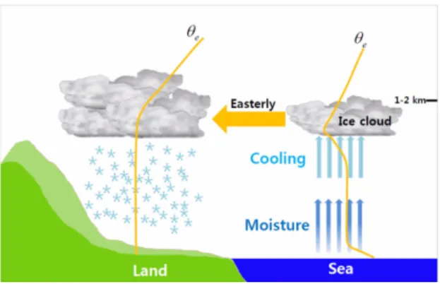 Fig. 10 는 해수면으로부터  2 m지점과 850 hPa사이의 상당온위의  차이  (θ e 2m − θ e 850 hPa )를  나타낸  것이며, EXP1 은 Fig