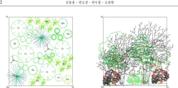 Figure 5. Stand visualization simulation of Island Plant Botanical Garden A(vertical and horizontal structure)(Ct: Clerodendrum trichotomum , Le: Lindera erythrocarpa , Lo: