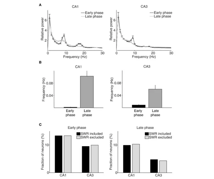 FIGURE 6 | Results of LFP analysis. (A) LFP power spectrum during the early (between –1 and 1 s since CS onset) and late (between 2 s since CS onset and exit from the reward site) phases of the outcome period (CA1, n = 32 sessions; CA3, n = 49 sessions)